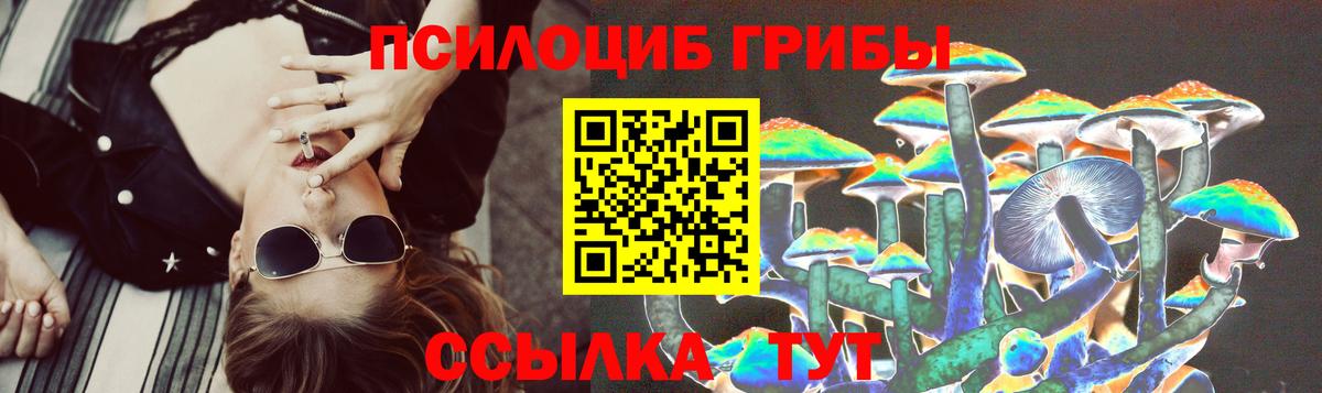 Галлюциногенные грибы Psilocybe Муром